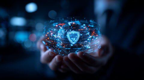 Network Resilience
