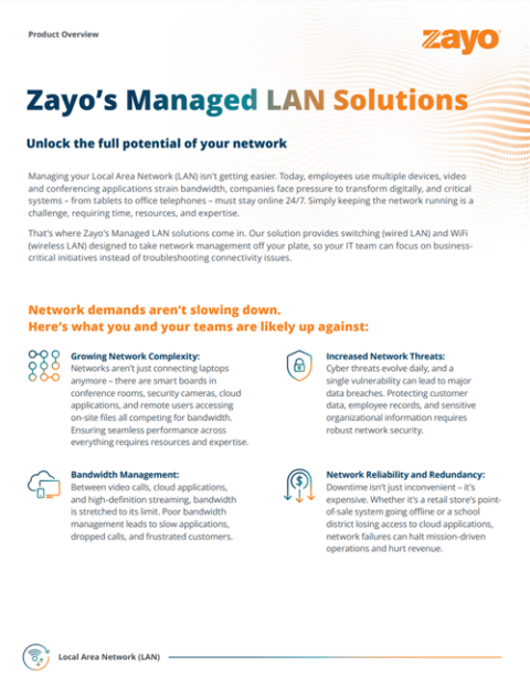 Managed LAN Solutions