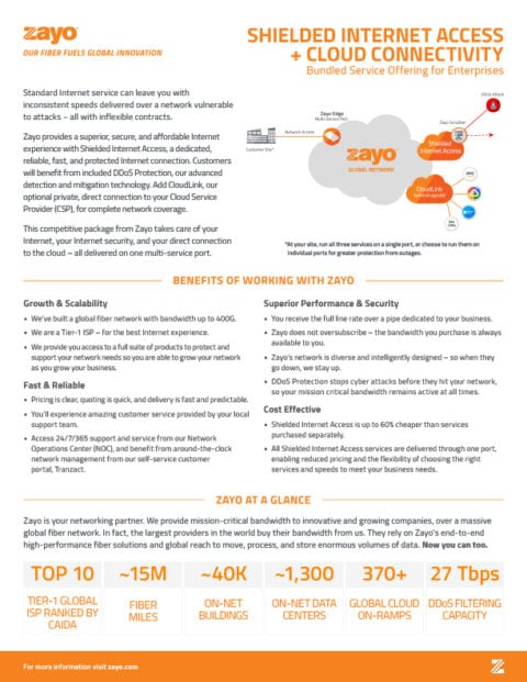 Shielded Internet Access and Cloud Connectivity