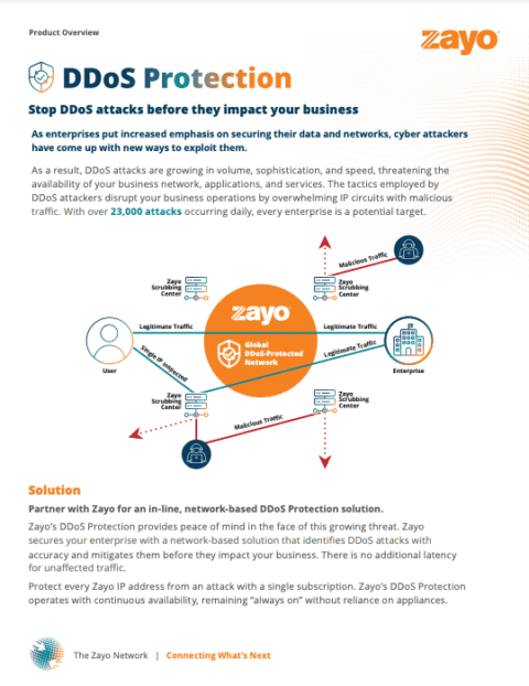 DDoS Protection Product Overview