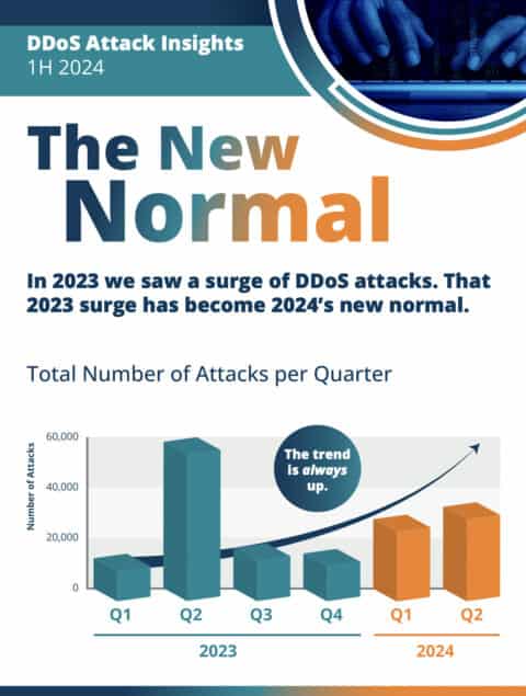 The New Normal | DDoS Attack Insights