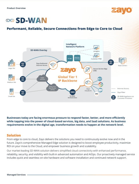 SD-WAN Product Overview of Components