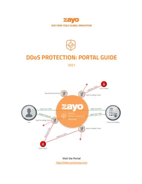 DDoS Protection: Portal Guide