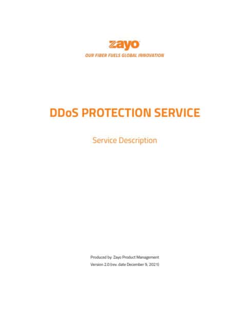 DDoS Protection Service