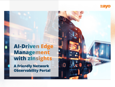 zInsights Feature Review – 2024